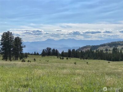 513 9 Mile Road , Oroville, WA 98844 - Photo 10