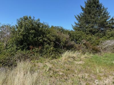 191 N Razor Clam Drive SW, Ocean Shores, WA 98569 - Photo 2