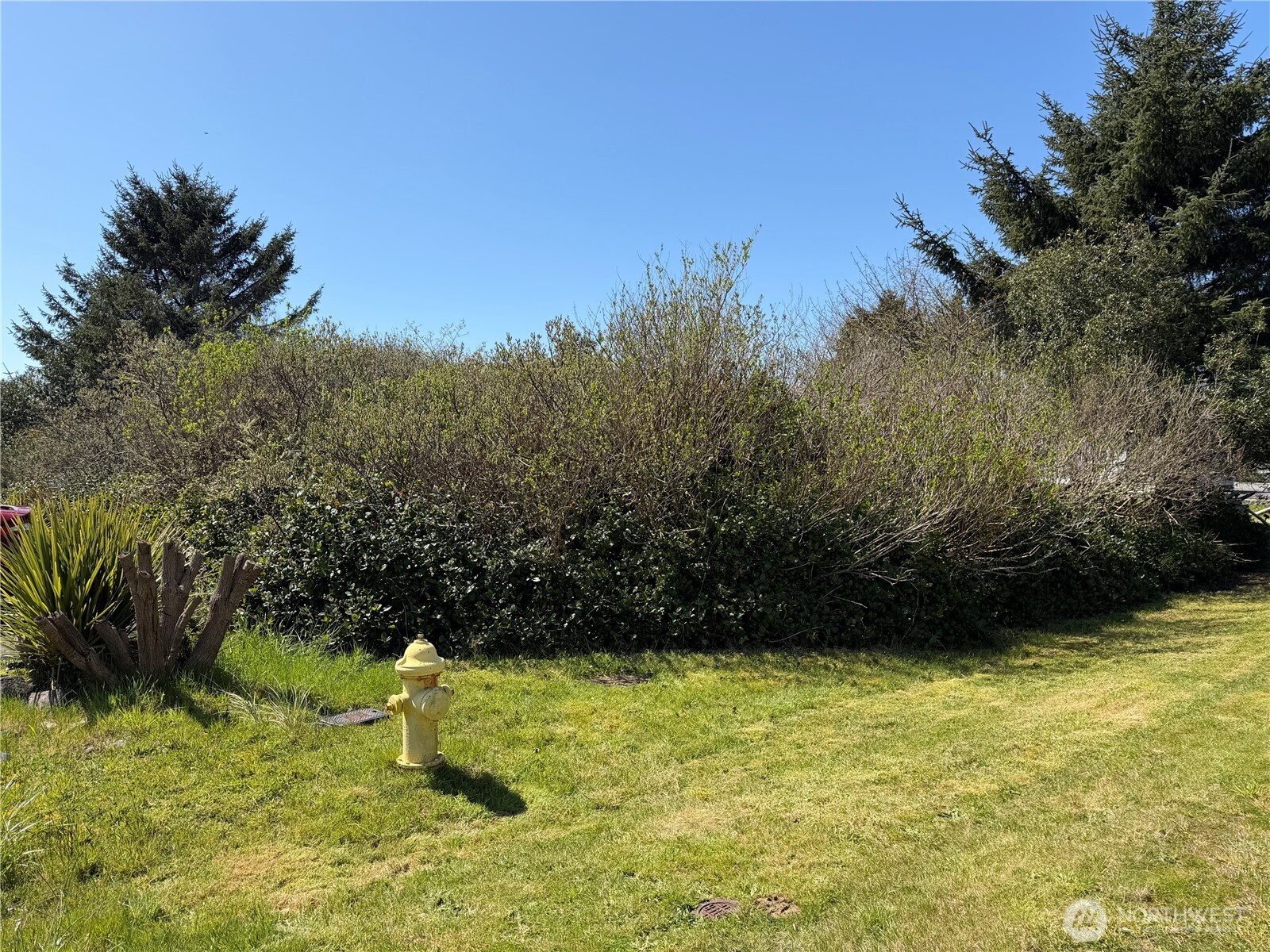 191 N Razor Clam Drive SW, Ocean Shores, WA 98569