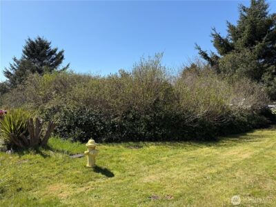 191 N Razor Clam Drive SW, Ocean Shores, WA 98569 - Photo 5