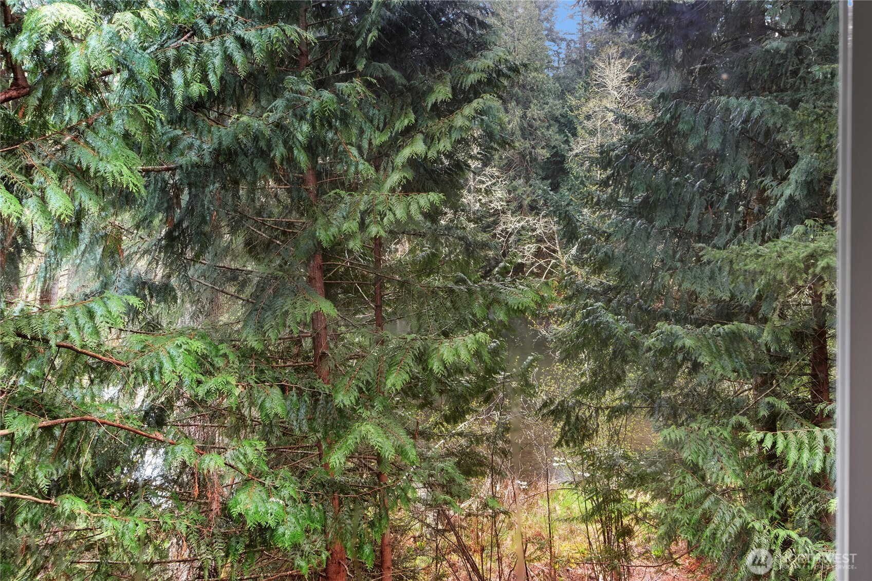 18715 Rampart Drive SE, Yelm, WA 98597