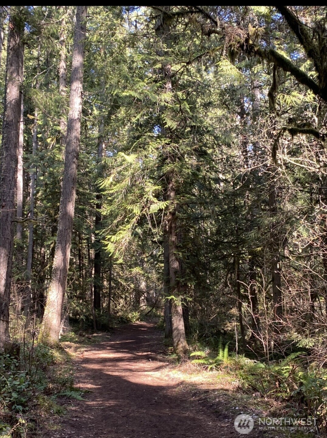 18715 Rampart Drive SE, Yelm, WA 98597