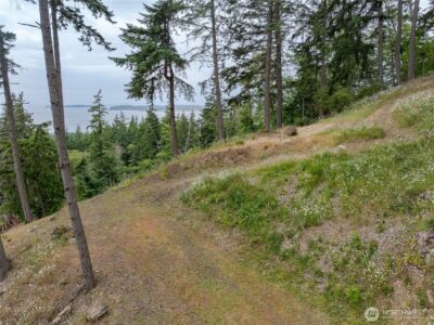 540 Wright Road , Orcas Island, WA 98245 - Photo 11