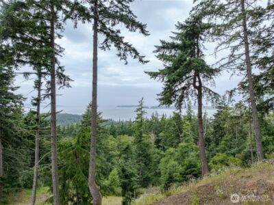 540 Wright Road , Orcas Island, WA 98245 - Photo 13