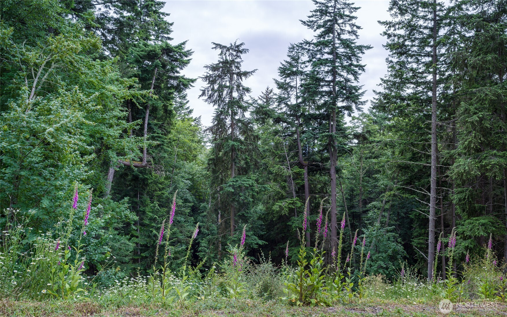 540 Wright Road , Orcas Island, WA 98245