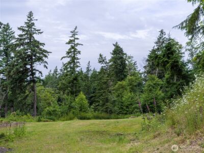540 Wright Road , Orcas Island, WA 98245 - Photo 21