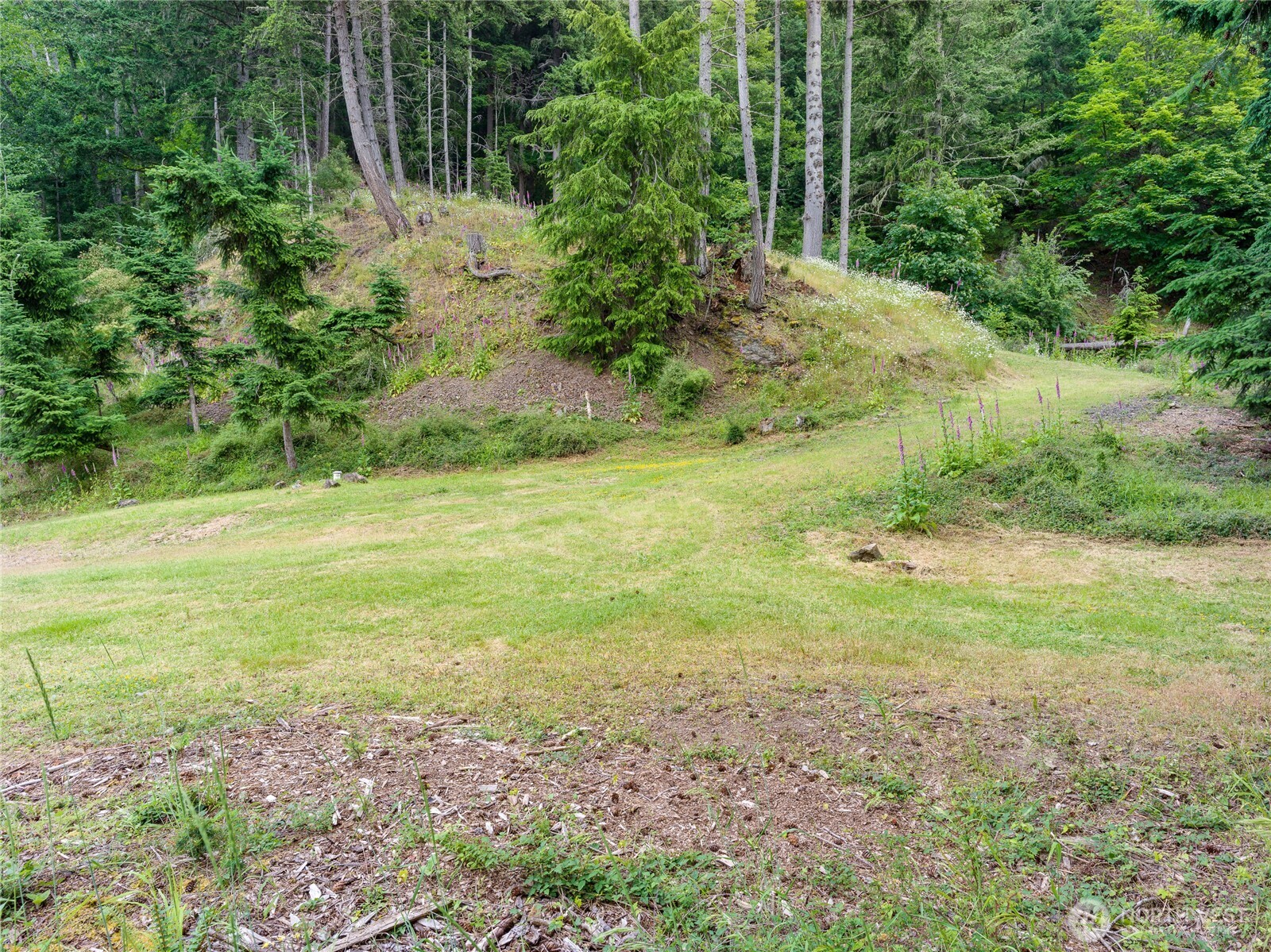 540 Wright Road , Orcas Island, WA 98245