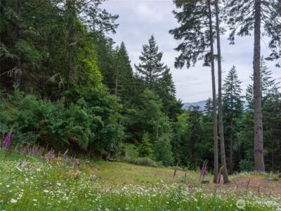 540 Wright Road , Orcas Island, WA 98245 - Photo 23