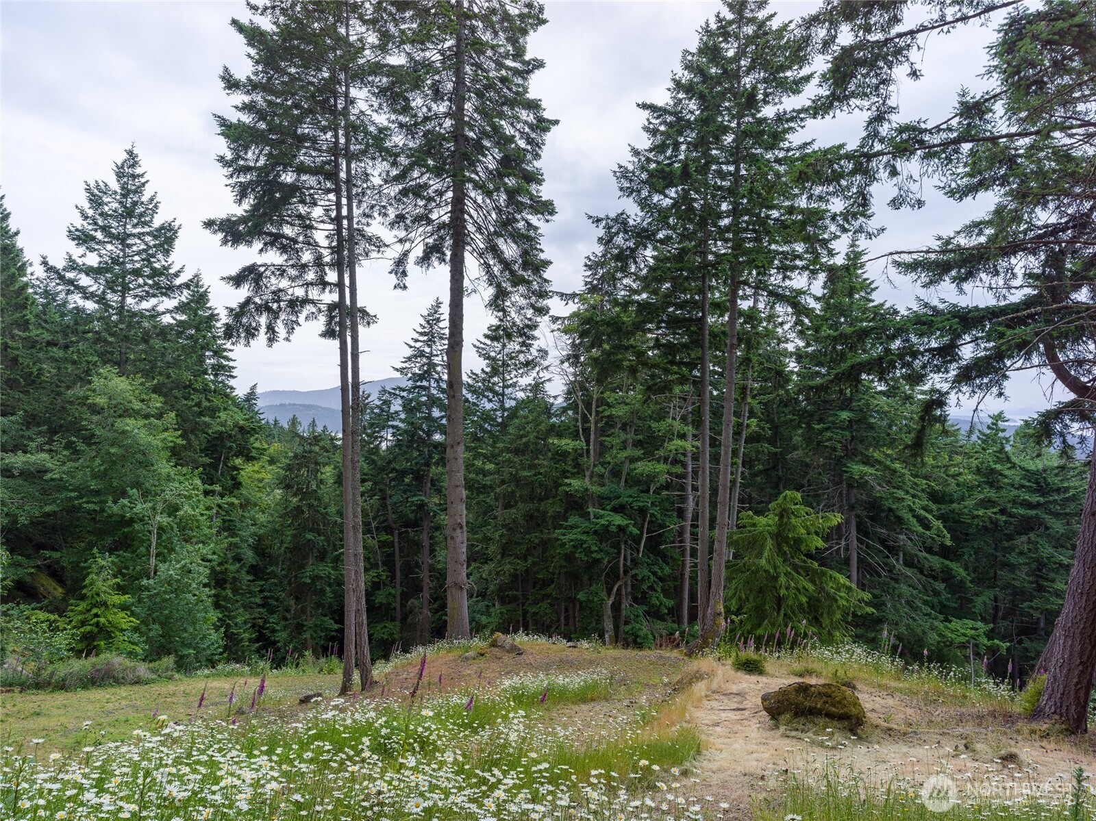 540 Wright Road , Orcas Island, WA 98245