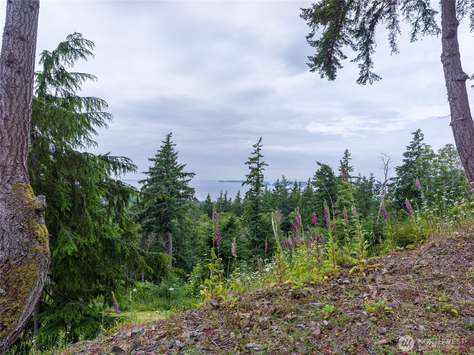 540 Wright Road , Orcas Island, WA 98245