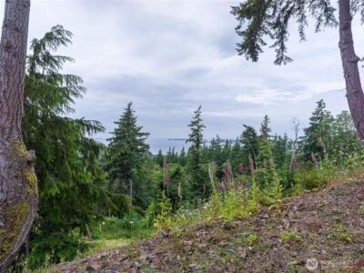 540 Wright Road , Orcas Island, WA 98245 - Photo 25