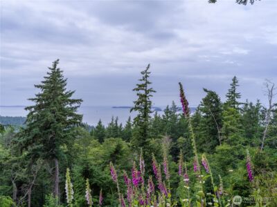 540 Wright Road , Orcas Island, WA 98245 - Photo 26