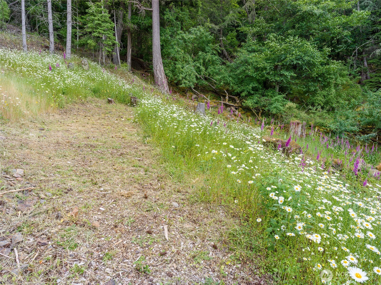 540 Wright Road , Orcas Island, WA 98245