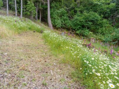 540 Wright Road , Orcas Island, WA 98245 - Photo 27