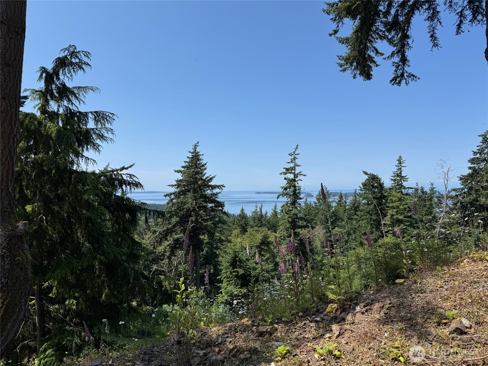 540 Wright Road , Orcas Island, WA 98245
