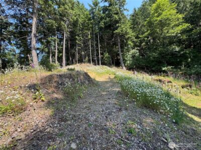 540 Wright Road , Orcas Island, WA 98245 - Photo 29