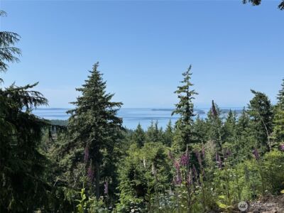 540 Wright Road , Orcas Island, WA 98245 - Photo 30