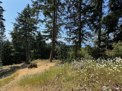 540 Wright Road , Orcas Island, WA 98245 - Photo 31