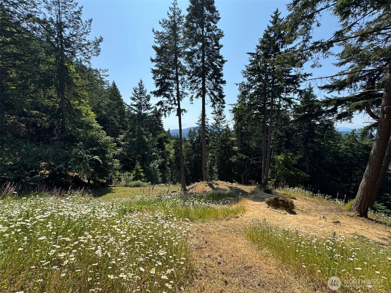 540 Wright Road , Orcas Island, WA 98245