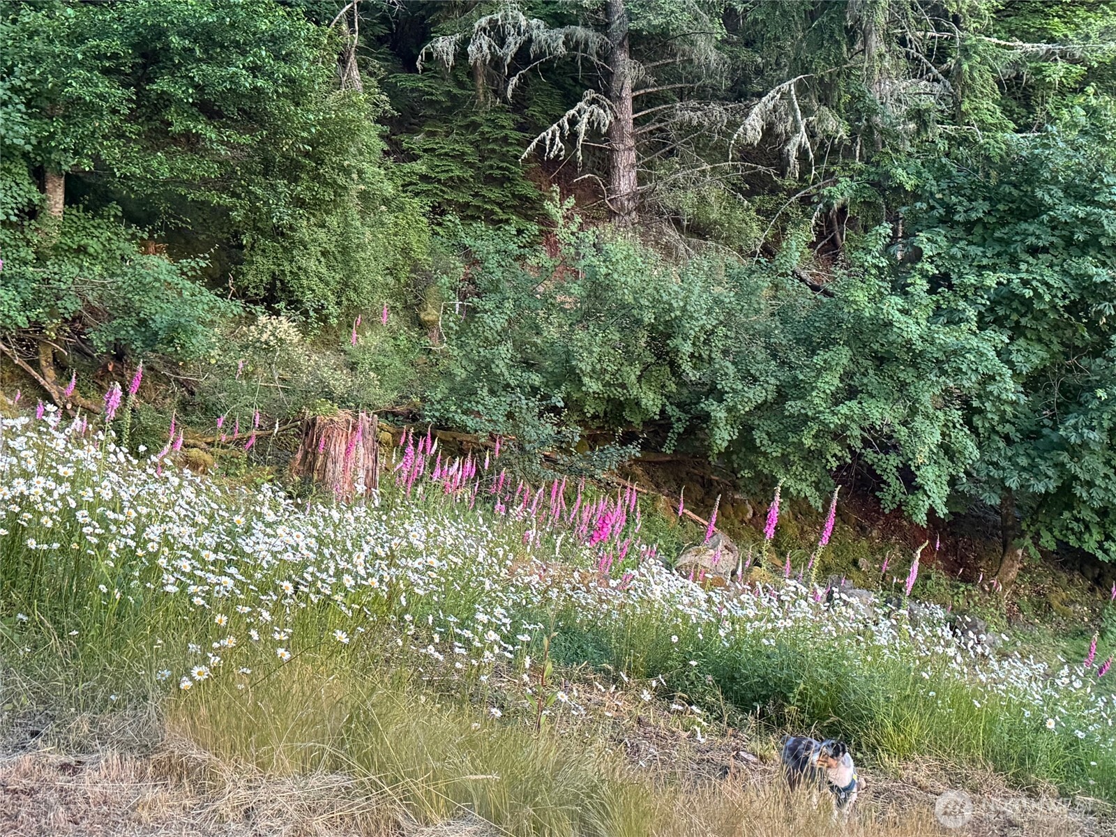 540 Wright Road , Orcas Island, WA 98245