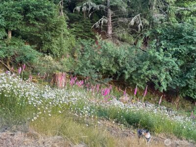 540 Wright Road , Orcas Island, WA 98245 - Photo 33