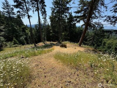 540 Wright Road , Orcas Island, WA 98245 - Photo 34