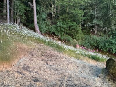 540 Wright Road , Orcas Island, WA 98245 - Photo 35