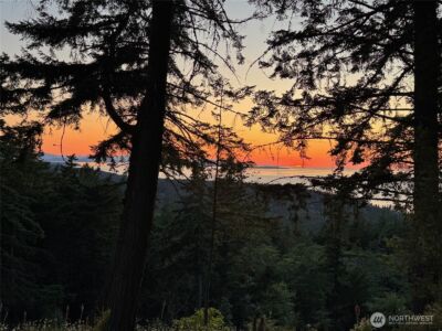 540 Wright Road , Orcas Island, WA 98245 - Photo 36
