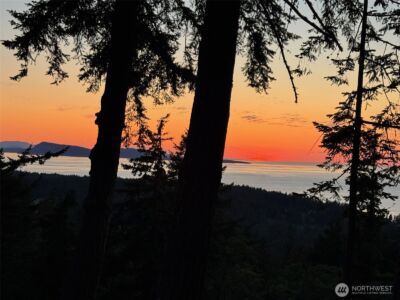 540 Wright Road , Orcas Island, WA 98245 - Photo 38