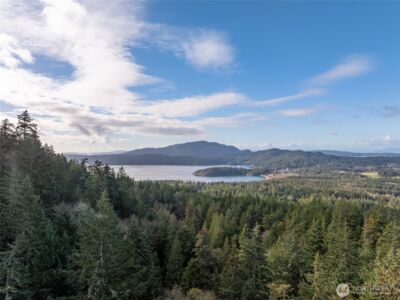540 Wright Road , Orcas Island, WA 98245 - Photo 39