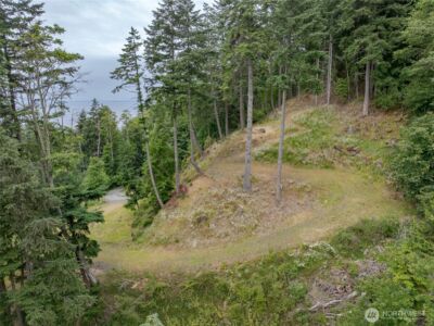 540 Wright Road , Orcas Island, WA 98245 - Photo 7