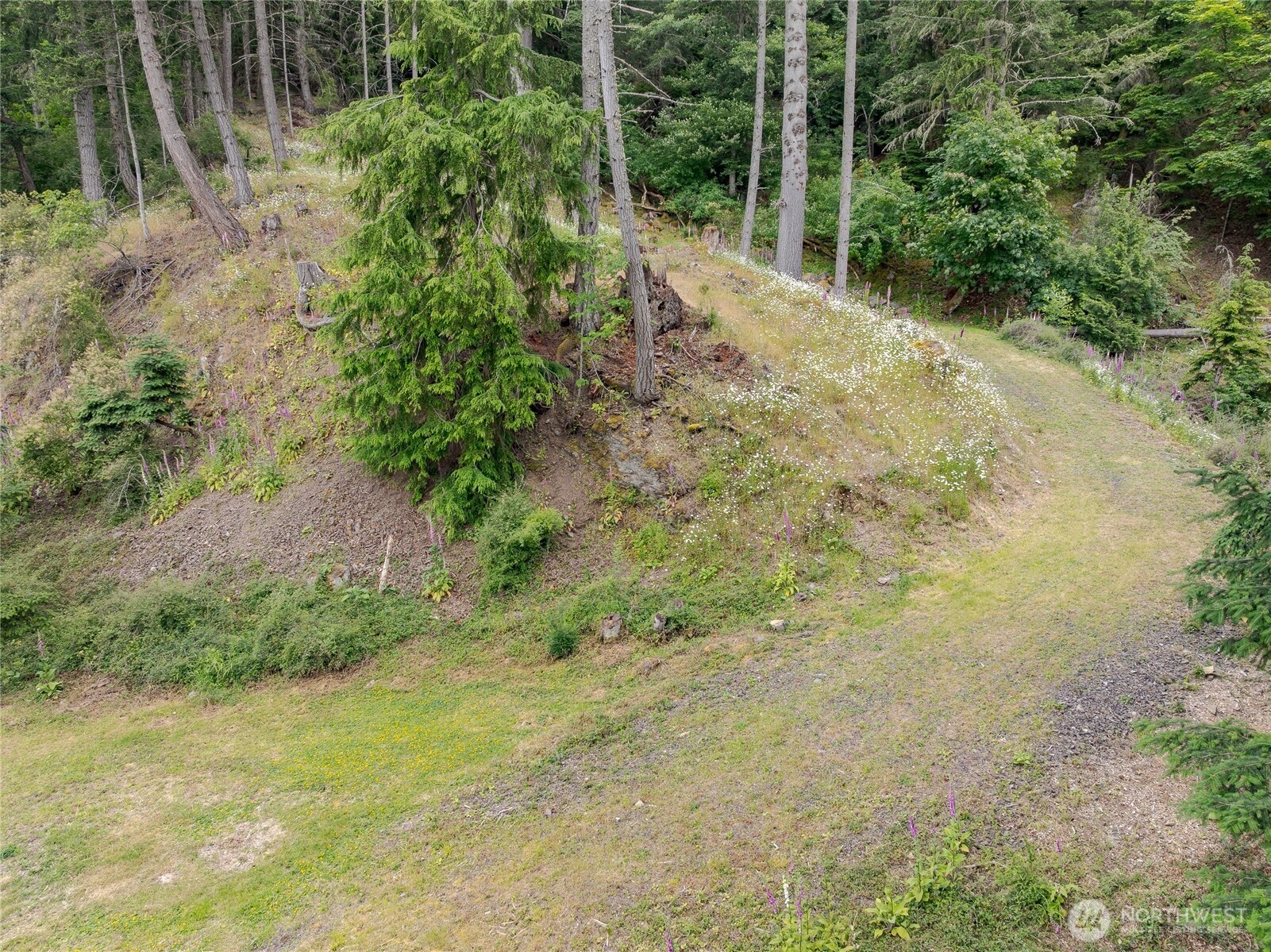 540 Wright Road , Orcas Island, WA 98245
