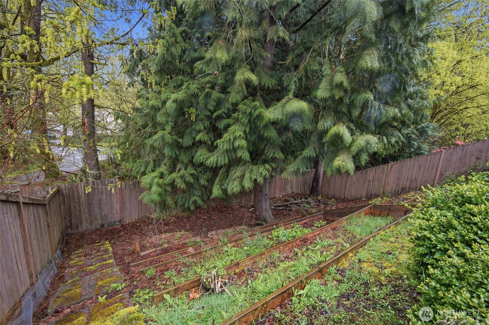 4804 Lambskin Street SW, Tumwater, WA 98512