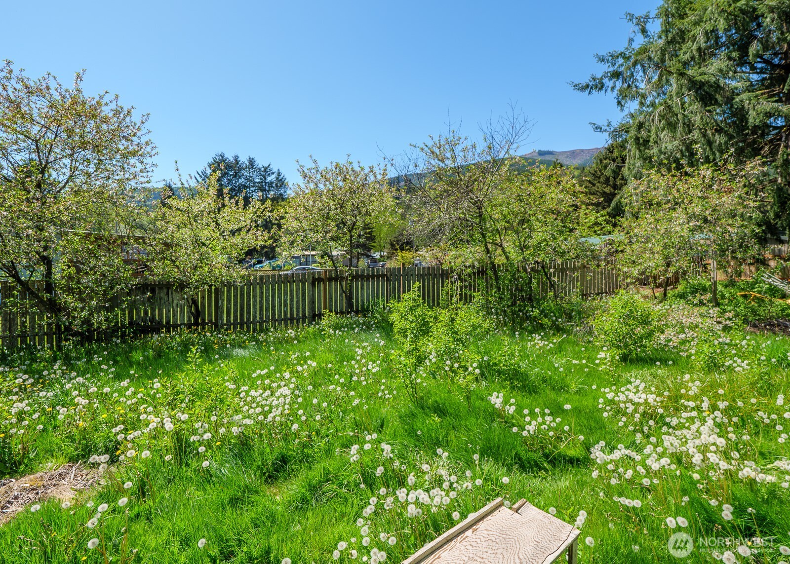 130 Pinto Lane , Brinnon, WA 98320