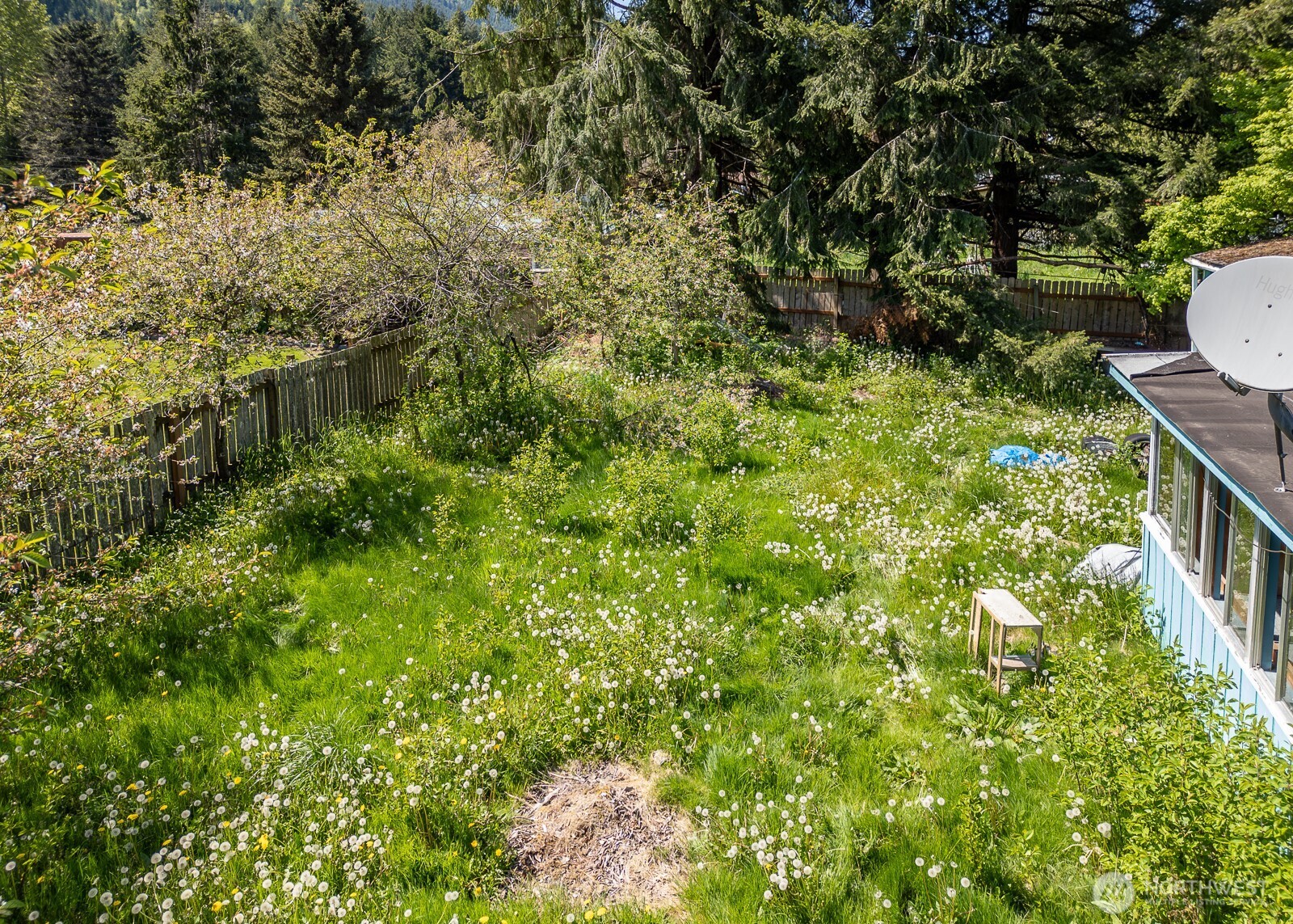 130 Pinto Lane , Brinnon, WA 98320