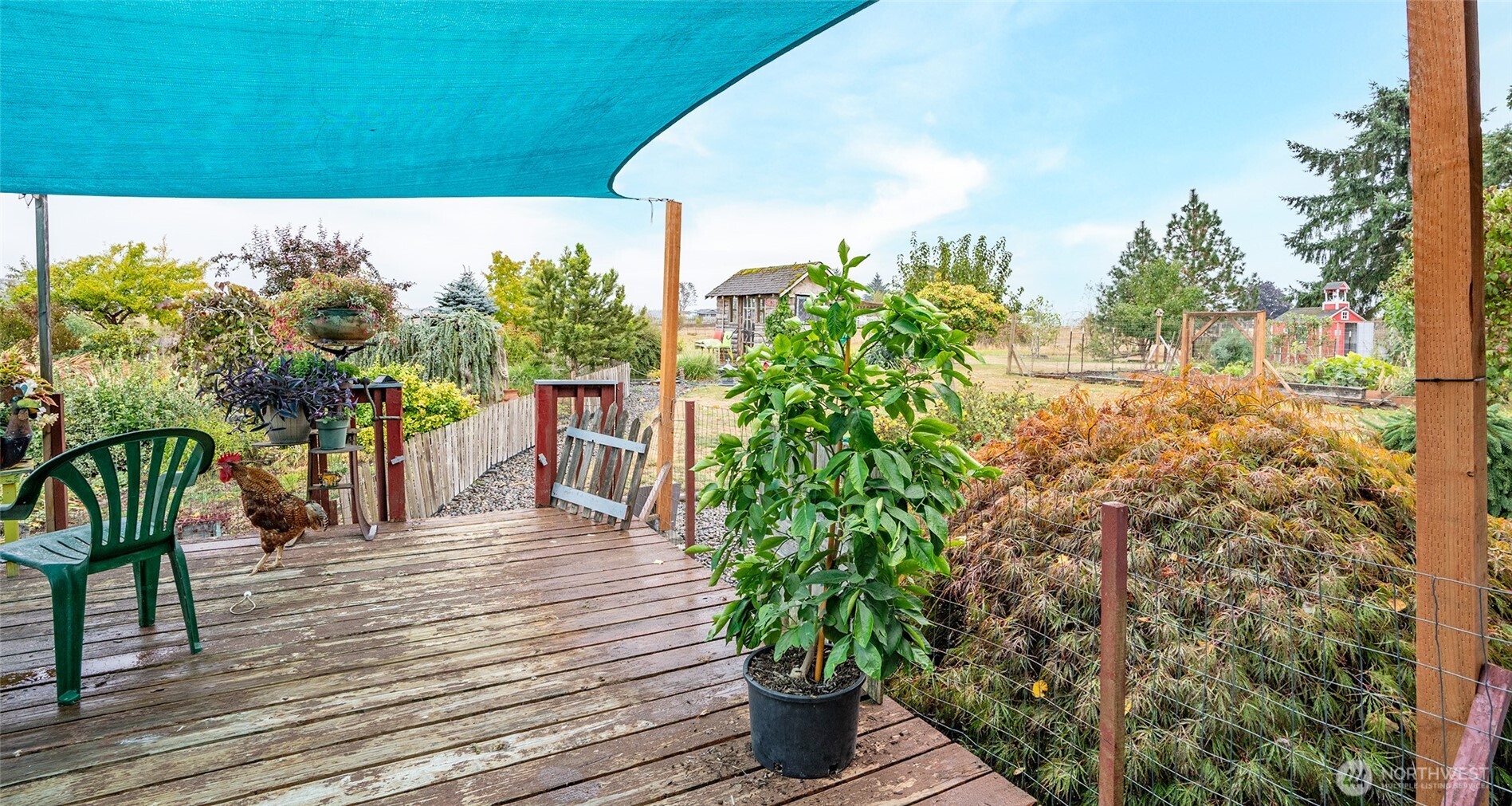 163 Schoolhouse Lane , Toledo, WA 98591