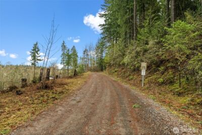18818 Slough Lane SE, Yelm, WA 98597-9077 - Photo 25