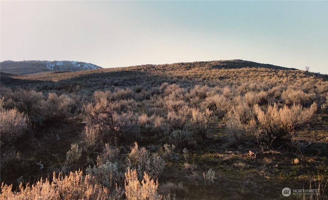 338 Palmer Mountain Road , Oroville, WA 98855