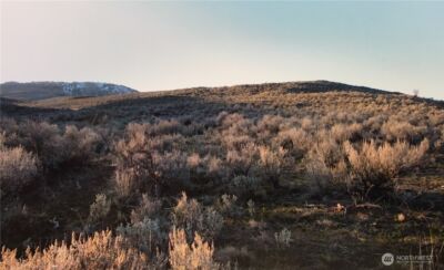 338 Palmer Mountain Road , Oroville, WA 98855 - Photo 3