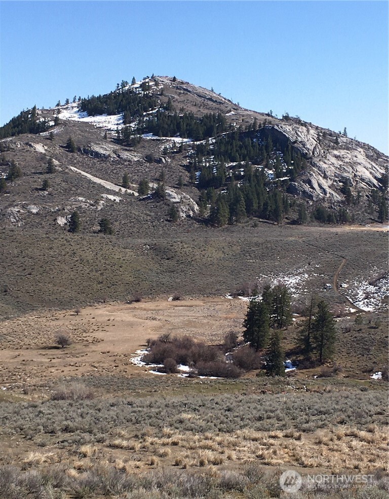 338 Palmer Mountain Road , Oroville, WA 98855