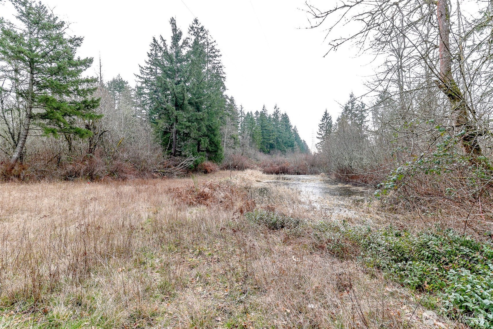 25314 48th Avenue Ct E, Graham, WA 98338