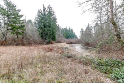 25314 48th Avenue Ct E, Graham, WA 98338 - Photo 33