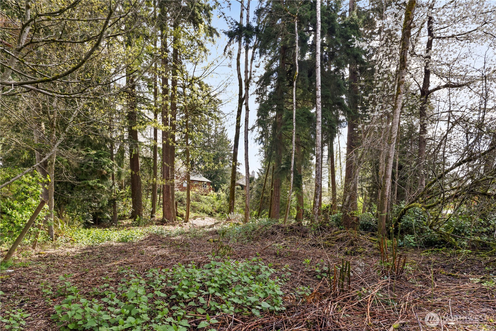 715 183rd Street SE, Bothell, WA 98012