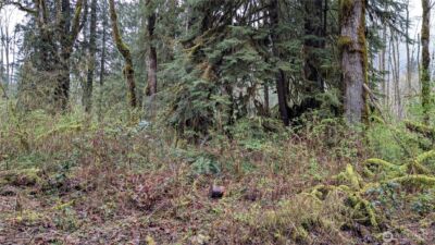63602 190th Street NE, Baring, WA 98224 - Photo 4