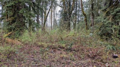 63602 190th Street NE, Baring, WA 98224 - Photo 5