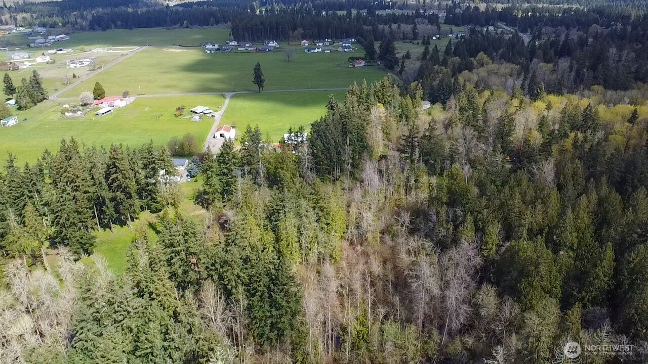 17115 Hannus Road SE, Yelm, WA 98597