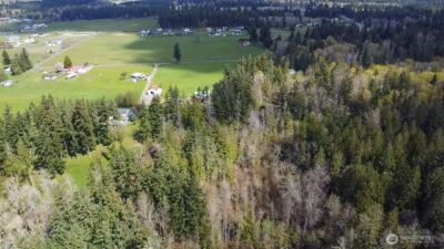 17115 Hannus Road SE, Yelm, WA 98597 - Photo 21