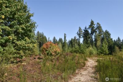 20 Acres SW Hunter Road , Port Orchard, WA 98367 - Photo 2