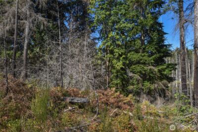 20 Acres SW Hunter Road , Port Orchard, WA 98367 - Photo 3