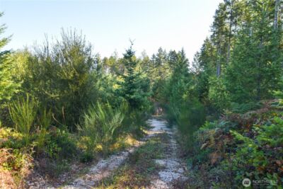 20 Acres SW Hunter Road , Port Orchard, WA 98367 - Photo 4
